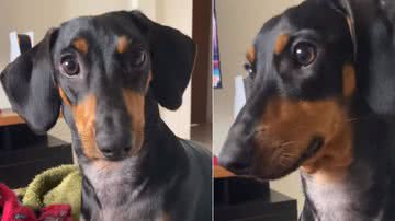 Reprodução/ Instagram