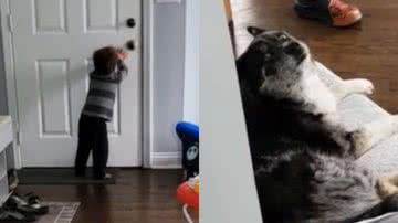 Reprodução/TikTok @stephpalmer1125