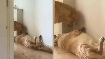 Reprodução/TikTok @_jadeeeemoore