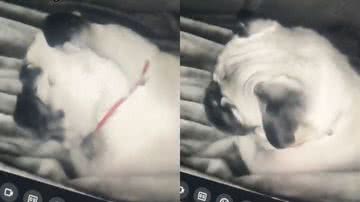 Reprodução/TikTok @manuchinalliv