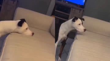 Reprodução/Instagram @caminoalotrolado