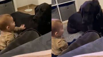 Reprodução/TikTok @bohlsenmarcus