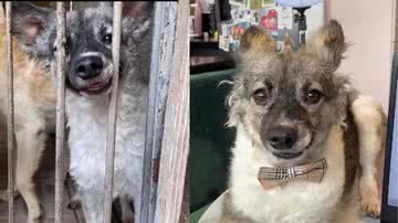 Reprodução / Instagram