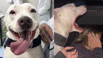 Reprodução/ Tik Tok