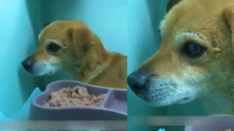Reprodução/ Tik Tok