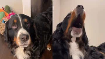 Reprodução / Instagram