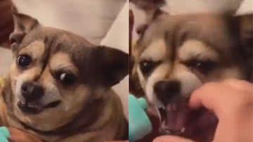 Reprodução / Twitter