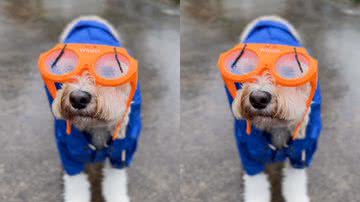 Reprodução/ Instagram