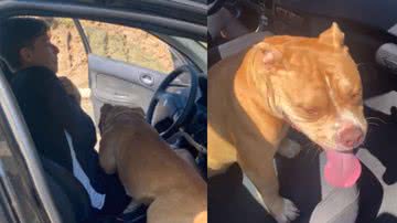 Reprodução / TikTok