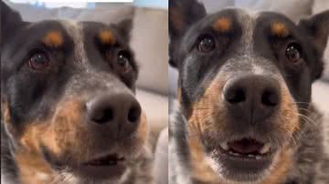 Reprodução / Tik Tok