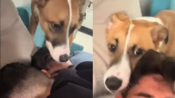 Reprodução / Tik Tok