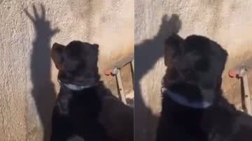 Reprodução/ Twitter