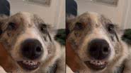 Reprodução / Tik Tok