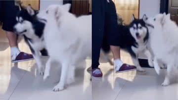 Reprodução/ Instagram