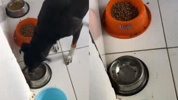 Reprodução/TikTok @zacaemeuri