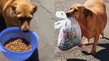 Reprodução/TikTok @dayanamota69