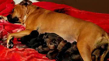 Reprodução / Facebook