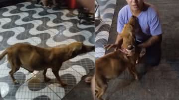 Reprodução / Tik Tok