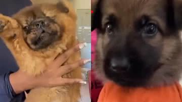 Reprodução/Instagram @docelar10