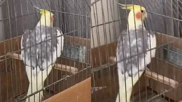 Reprodução/TikTok @oxetataibs