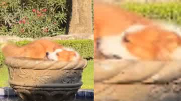 Reprodução / Instagram