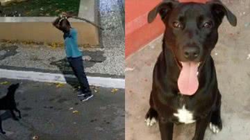 Reprodução/Redes Sociais