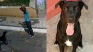 Reprodução/Redes Sociais