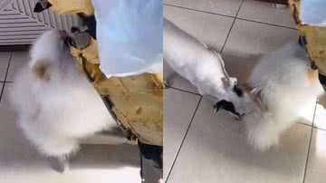 Reprodução/TikTok @bbrruunnaa7