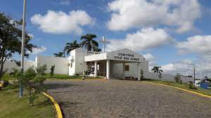 Wikipédia/Reprodução