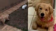 Reprodução/TikTok @luiza.rmelo