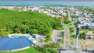 ReproduçãoRedes Sociais