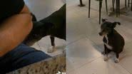 Reprodução/TikTok @andersonduartefilmes