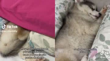 Reprodução// TikTok @au.chantilly