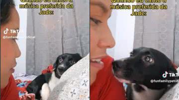 Reprodução// TikTok @funfamilypetoficial
