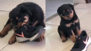 Reprodução// TikTok @alicegomes041