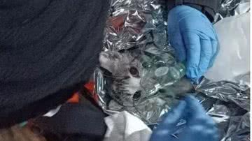 Reprodução/@BombeirosPMESP