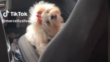 Reprodução// TikTok @marcellysilva294