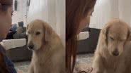 Reprodução// TikTok @_moremarc