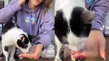 Reprodução// TikTok @isareda_