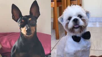 Reprodução/ TikTok   @mr_laryssa2