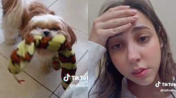 Reprodução//TikTok @taliverso