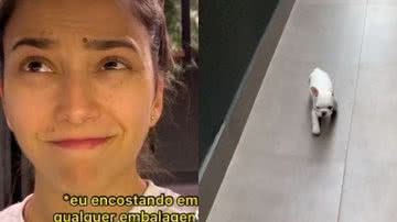 Reprodução// TikTok @briebulldog