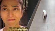 Reprodução// TikTok @briebulldog