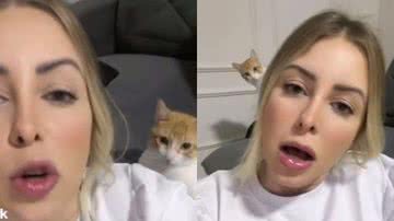 Reprodução// TikTok @brusabatine