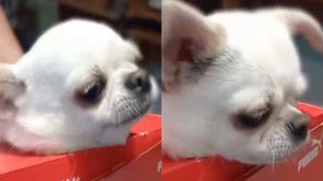 Reprodução/TikTok @kseniaviktorovna.7