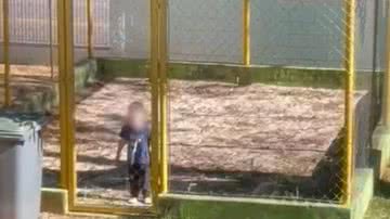 Reprodução/Redes sociais