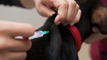 Önder Örtel por Pexels