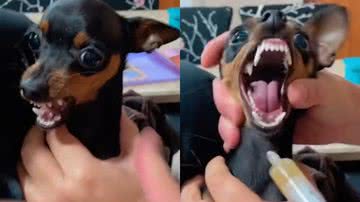 Reprodução/TikTok @shirleysoares308