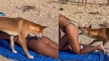 Reprodução/ Instagram