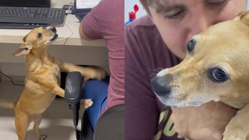 Reprodução// TikTok @nininha.rainha